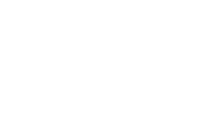 Fontys Logo White